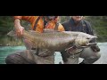 FLY FISHING in Patagonia : Monster Kings in spectacular surroundings 2020