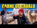 COMENDO CARNE DE "CAVALO" NO DESERTO MAIS ALTO DO MUNDO!