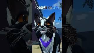 Making DOG BREEDS in WCUE: Border Collie! | Warrior Cats; Ultimate Edition