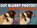 Got BLURRY Photos? Find Out WHY and How to REDUCE Them!