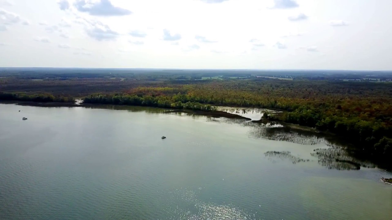 Chicken Bay , September 2017 YouTube