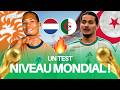 ALGERIA NETHERLANDS THE ULTIMATE TEST BEFORE THE WORLD CUP 