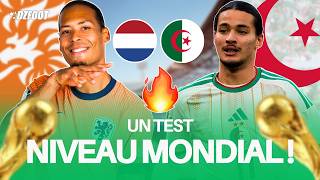 🚨ALGERIA - NETHERLANDS: THE ULTIMATE TEST BEFORE THE WORLD CUP!