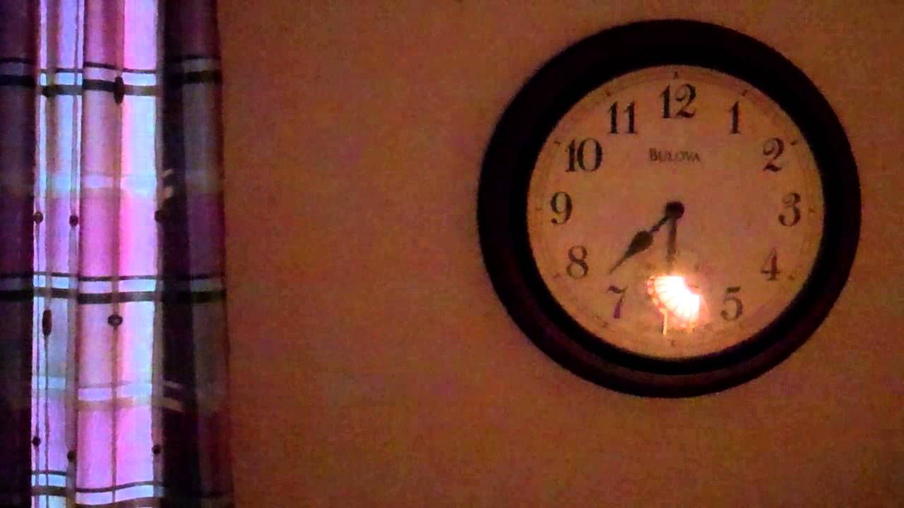 Me Getting Up In The Morning At 730am CDT Texas Time 11/14/2012 YouTube