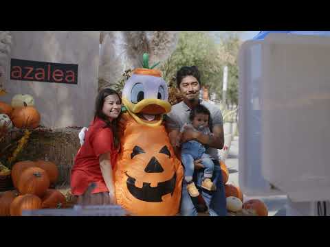 Azalea | Pumpkin Patch 2023