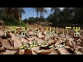 اغنية مزابية طمورت نلويز
