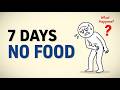 What Really Happens After 7 Days Fasting? (Science Explained)