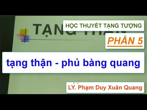 Video Học thuyết tạng tượng: TẠNG THẬN - PHỦ BÀNG QUANG... - YouTube