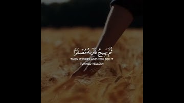 قرآن كريم بصوت القارئ بدر التركي تلاوة مؤثر ارح قلبك 💚🌿حالة واتس إسلامية /استوري انستغرام