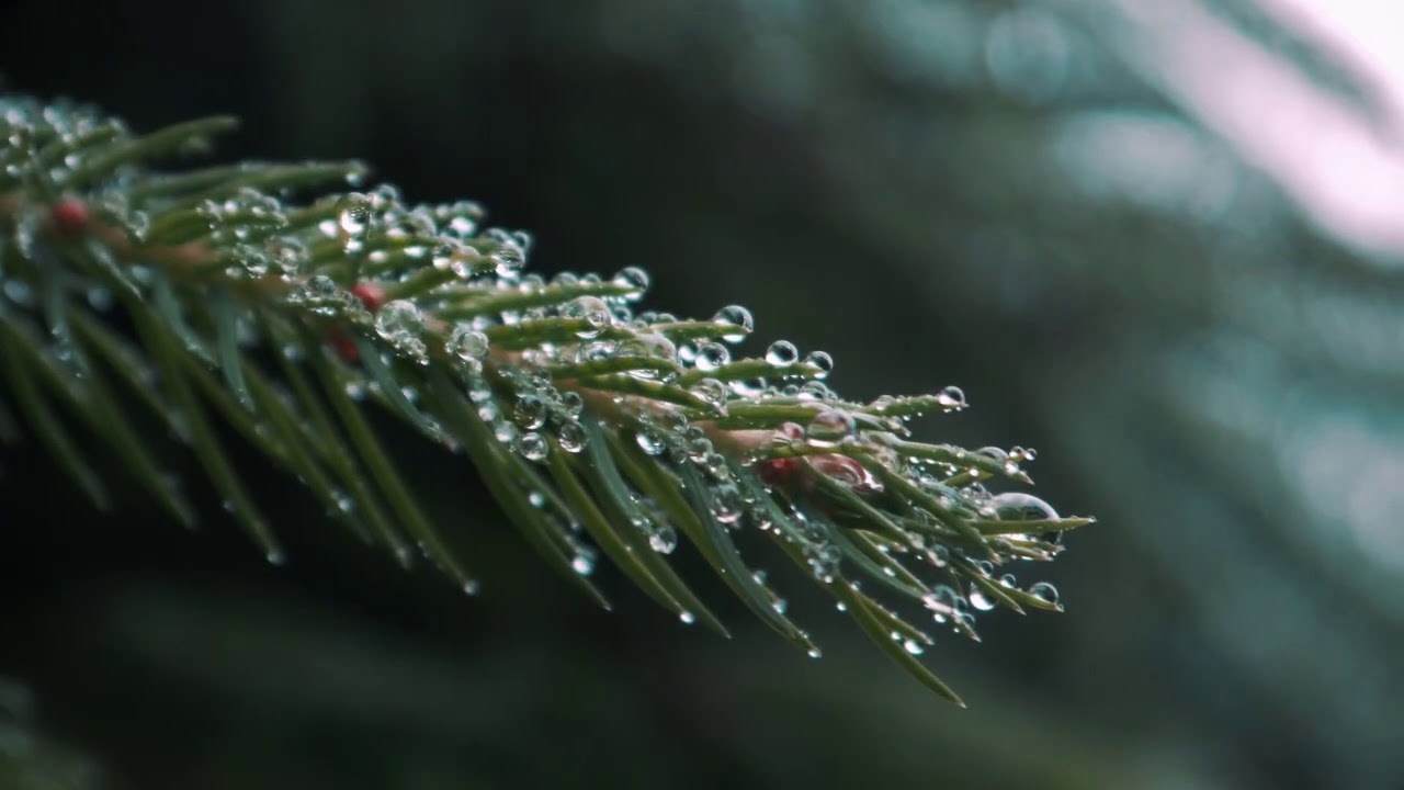 "Несвятые святые" и другие рассказы" Аудиокнига. - YouTube