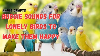 Budgie Sounds for Lonely Birds to Make Them Happy | #LoveBirds | Nahi's Crafts