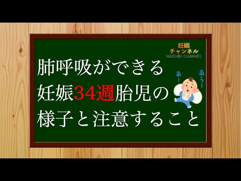 【妊娠34週】肺呼吸ができる✨妊娠34週胎児の様子とこの時期に注意すること