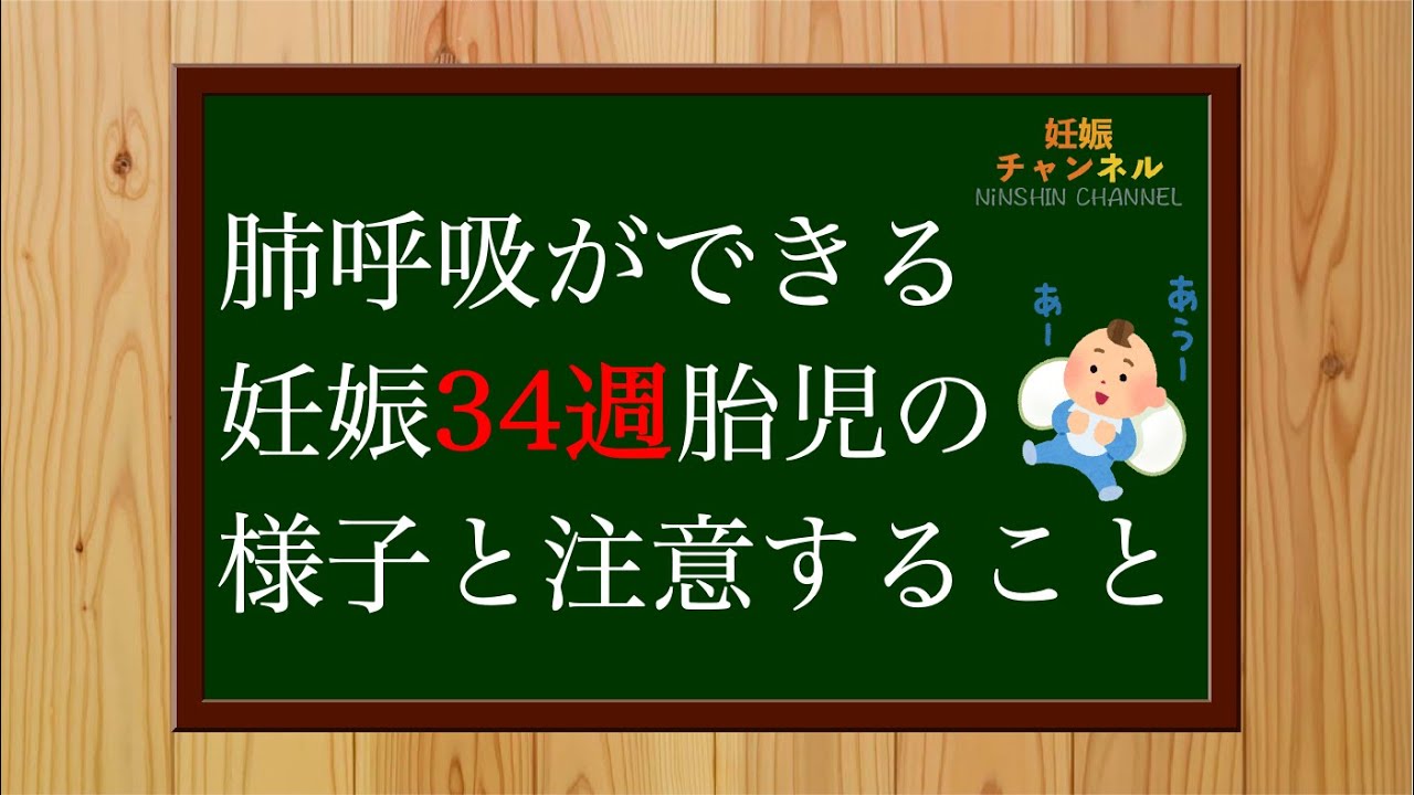 【妊娠34週】肺呼吸ができる✨妊娠34週胎児の様子とこの時期に注意すること