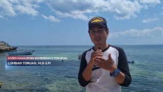 Potret Transplantasi Terumbu Karang 2024