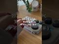 2025年に買って良かったもの6選（後半）#片手デバイス #植物 #ゲーム #充電器 #かわいい #デジタル #購入品紹介 #買ってよかった #shorts