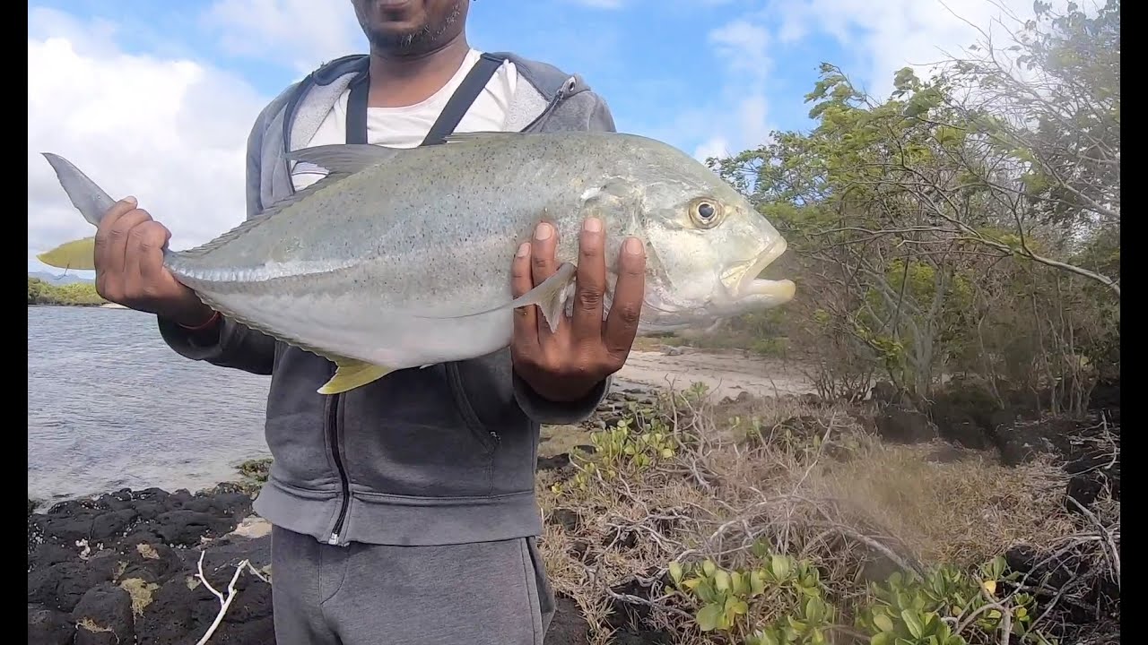 Trevally on Duo Realis Fangpop 105. Nice fight!