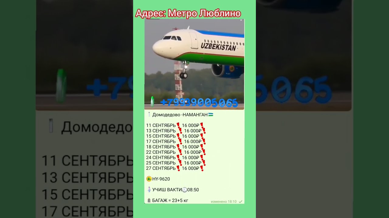 Купить Билет Домодедово Пенза