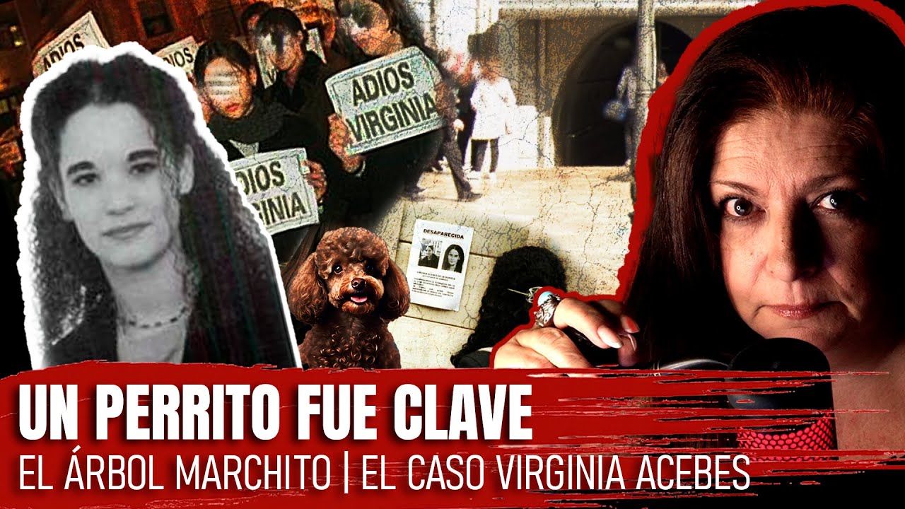 El enigmático Árbol Marchito. Bilbao. España (1999) El Caso Virginia Acebes | Lusy Crime Narradora