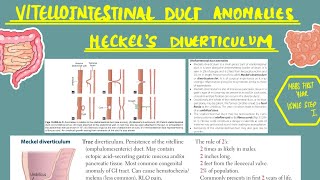 👶Meckel’s Diverticulum | GIT MBBS EMBRYOLOGY | USMLE Step 1