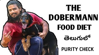 The Doberman purity check and health tips  l in Telugu l by dumbu