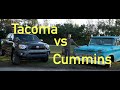 What would you pick? A  C10 Cummins diesel swap or a Tacoma for a daily driver? 1963 vs 2014 toyota