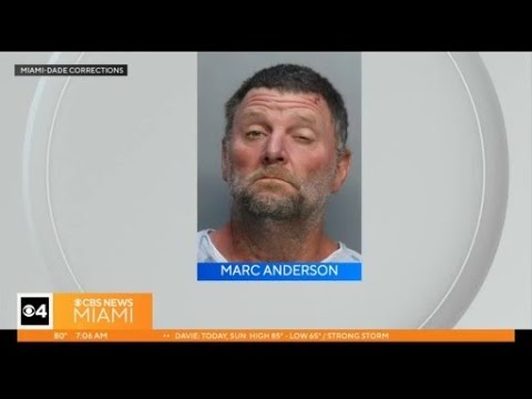 Man identified, in custody after traffic stop in Miami-Dade leads to ...