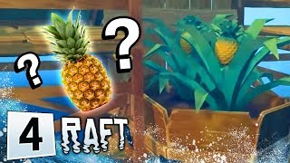 Raft #4 - PINEAPPLES screenshot 5