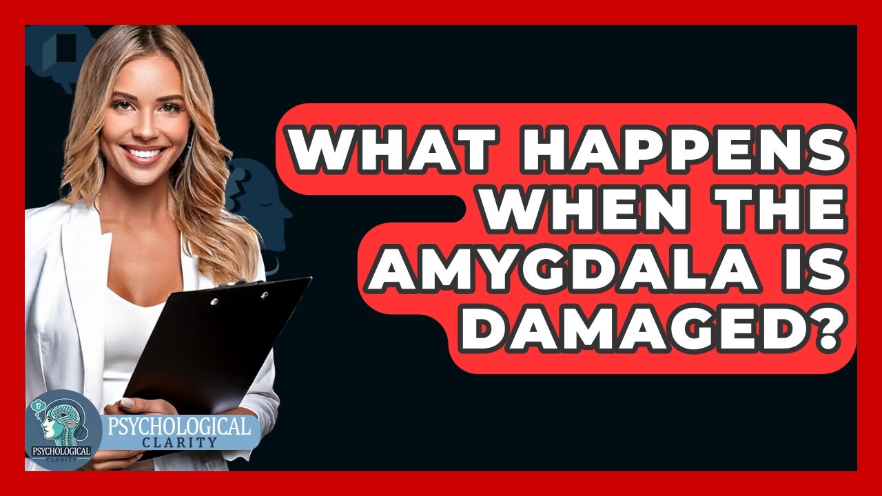 What Happens When The Amygdala Is Damaged? - Psychological Clarity