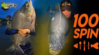 UM DIA DE PESCA NO LAGO VIP DO 100SPIN / TRINTADA E MÉDIA ABSURDA!