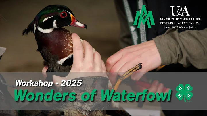 Wonders of Waterfowl Workshop - 2025