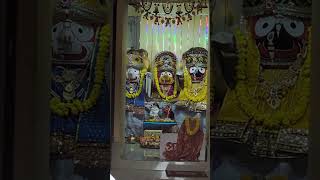 Jai Jai Jagannath Dev #hindudeity #lordjagannath #lordofuniverse#jagannath#vishnu#hindugod#jagannath