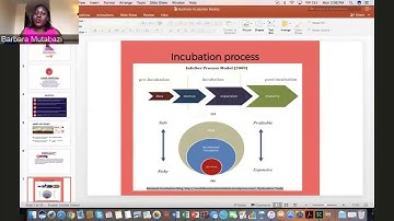 Business Incubation Models: Incubation Processes