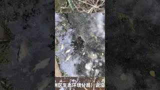 30 years of chemical contamination