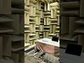 Worlds quietest room 🤯