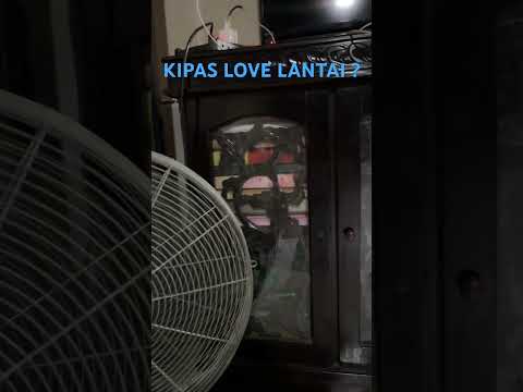 KIPAS LOVE LANTAI 