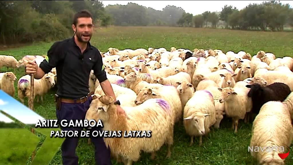 Agronavarra 19 noviembre 2014