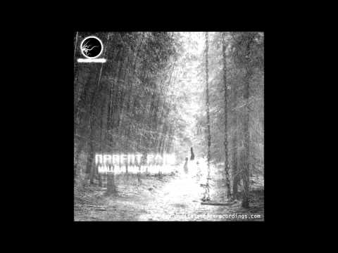 robert pain - malleus maleficarum EP - last chance