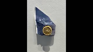 IMG 9145