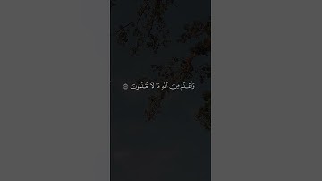 ﴿قَالَ إِنَّمَاۤ أَشۡكُوا۟ بَثِّی وَحُزۡنِیۤ﴾ | القارئ محمد صديق المنشاوي #قرآن #اكسبلور.