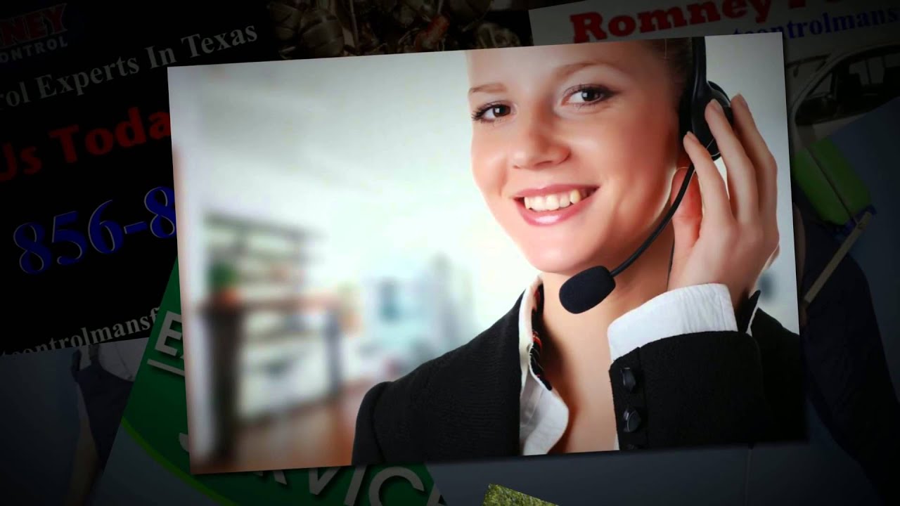 Termite Removal Service Mansfield TX | Call (214) 856-8604