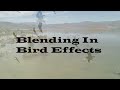 Blending Effects In Adobe Premier Pro