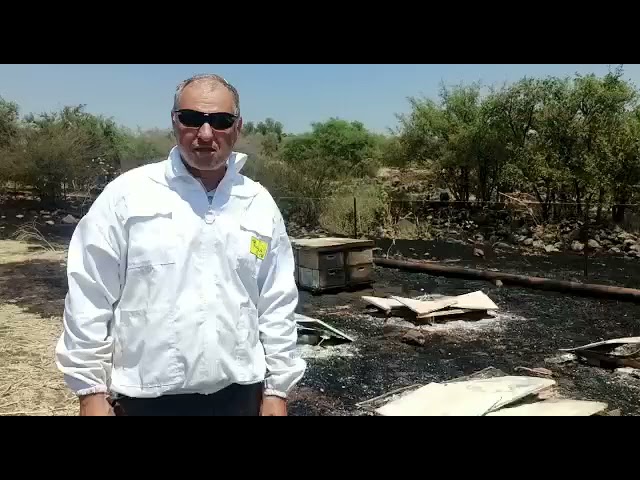 2,000 דונם נשרפו: 48 כוורות שהכילו כטון דבש נשרפו כליל