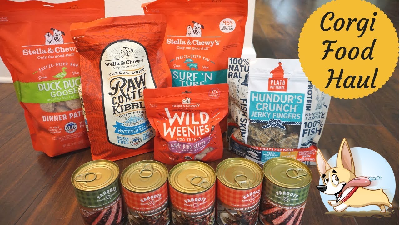 Corgi Food Haul - YouTube