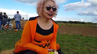 Halloween Pumpkin Patch Adventure in London (reupload 26.10.16)