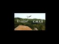 baby doll x Adolf Silva #mtb #biking #edits #fyp #viral #shorts