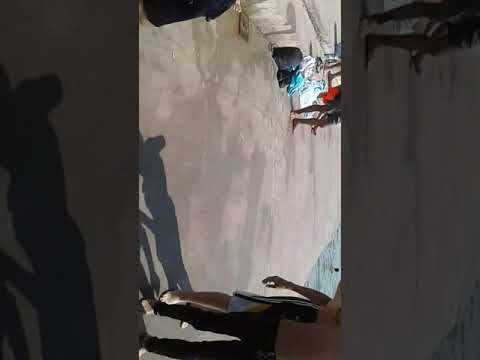 مامون 1