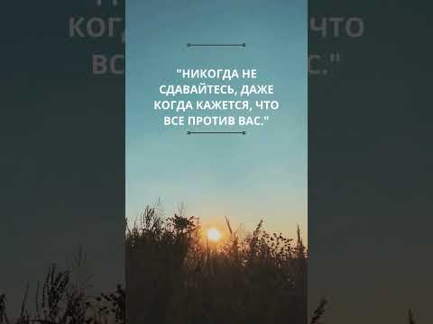 Удивительный Факт и
