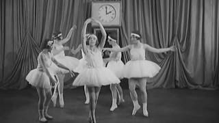 Art Vs Science - Icycle Bicycle Official Video