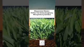 Download Lagu alamak duit ni😋#memes#funny#shorts#4u MP3 Download Lagu alamak duit ni😋#memes#funny#shorts#4u MP3