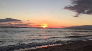 Every Little Girl Dreams She Is